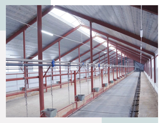 Строительство коровников в чусовом от 627 руб.